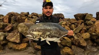 el mejor señuelo para pescar en playa linda ixtapa zihuatanejo guerrero