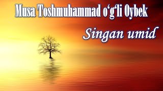 Musa Toshmuhammad o‘g‘li Oybek. “Singan umid”