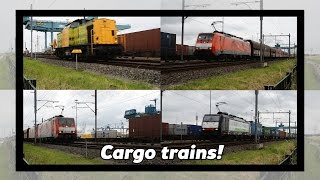 Cargo trains in the Port of Rotterdam!