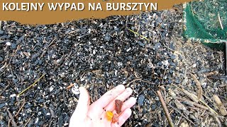 Kolejny wypad na bursztyn - poławiacze bursztynu