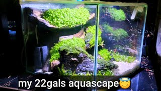 how to aquascape simple setup