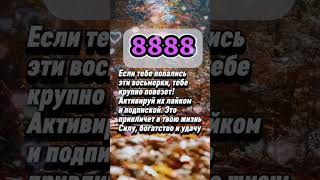 Что нужно вашей женщине по дате рождения  #гороскоп  #таро #знакизодиака #астрология