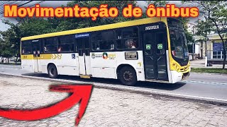 movimentação na av durval de góes monteiro (maceió - AL)