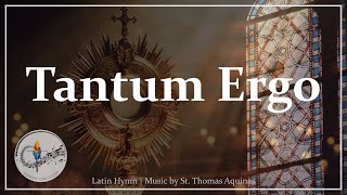 Tantum Ergo | Catholic Latin Hymn | Adoration/Corpus Christi | Choir & Organ, Latin & English Lyrics