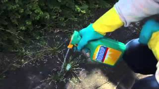 Roundup 3 Litre Ready to Use | Video | Roundup Weedkiller