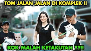 ADY LOYD AJAK JALAN TOM Di KOMPLEK|MALAH BIKIN PANIK ‼️TOM KETAKUTAN ⁉️