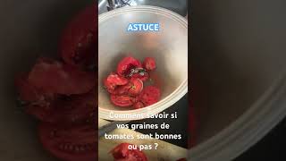 Comment savoir si vos graines de tomates sont bonnes?