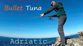 Bullet Tuna on light taсkle. 16.04.2020