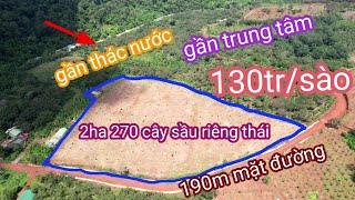 Bán 2ha sầu riêng, 270 cây sầu thái 2 tuổi, ôm 190m mặt đường 0987326906