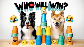 Funny Dogs and Cats Reaction to Magic Tricks | 🐕who win🐶