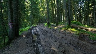 Blending in Forestfloor and Muddy Road - Tutorial