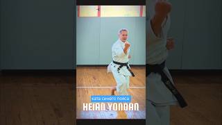 Ката синего пояса #каратэ ХЭЙАН ЙОНДАН #heianyondan #боевыеискусства #martialarts #karatetoday