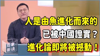 人是由魚進化而來的已被中國證實？進化論即將被一條震驚世界的魚撼動？演化過程的新認知誕生！ #talkshow #圆桌派 #窦文涛 #脱口秀 #真人秀 #圆桌派第七季 #马未都