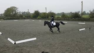 British Dressage Prelim 14