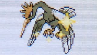 [ISHC #6] LIVE! Shiny Fearow after 51,321 REs on Gold Virtual Console! (Phase 5)