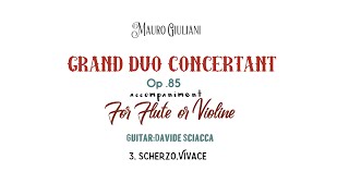 Mauro Giuliani 3 Scherzo .Vivace/ accompaniment