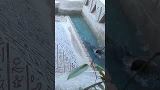 Two Brother Swim into Underground Pool