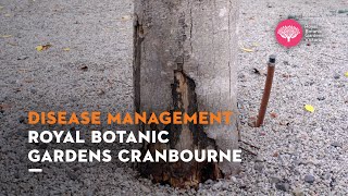 Disease Management with Royal Botanic Gardens Cranbourne