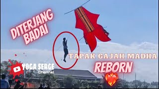 TAPAK GAJAH MADHA Reborn  ✅ from TUKAD BATU LOMBENG ❤️‍🔥