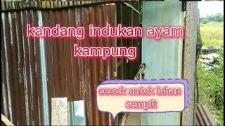 ukuran kandang ayam kampung indukan 04 #ayamkampung #kandangayam