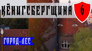 Светлогорск (Калининградская область) – что посмотреть за 2 часа