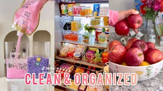 1 Hour ⏳ Restocking 🍒 Organizing 🍪 Cleaning 🧼 TikTok Compilation ✨ Extremely Satisfying 💯