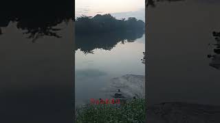 mancing barramundi disini dijamin puas // surabaya // sungai jagir //