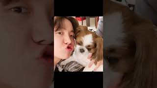 BTS with their animals  ❤️#bts#dog