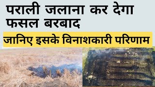 Parali- A By-Product, not a residue |पराली जलाने के नुकसान | फसल अवशेष जलाने के नुकसान |Crop Residue