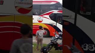 Bus Gumarang Jaya julukan Kinantan otw jakarta#bus #videoshorts #basuri #busmania#teloletbasuri