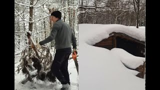 STOP CAMPING Alone in the WINTER FOREST Until You Watch This