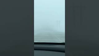 Going to Winkler! Zero visibility! February 1, 2020