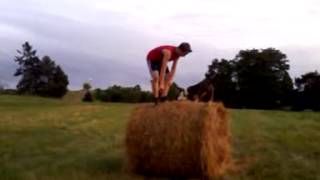 Round bale leapdog