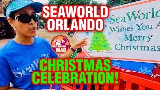 Did We Jinx Our SEAWORLD ORLANDO CHRISTMAS CELEBRATION Visit?