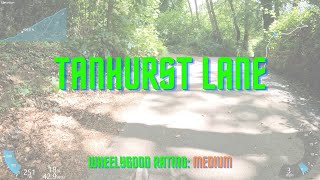 Tanhurst Lane [Medium]