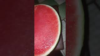 Viral no seeds water melon #trending #viralvideo #viralshort viral