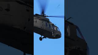 Close-Up: NATO's Black Transport Helicopter in Flight #short #shorts