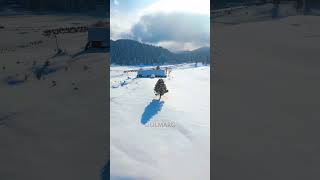 GULMARG KASHMIR IN 2024 | GULMARG , SONMARG| BOOK KASHMIR TOUR PACKAGE IN 2024 | CALL : 8899488832