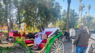 Things to do in Marrakesh: Koutoubia Mosque | Horse Carriage Ride