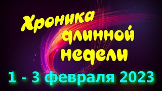 Хроника длинной недели 1 - 3 февраля 2023 года. Грузим вагоны и снова на Красноярск.