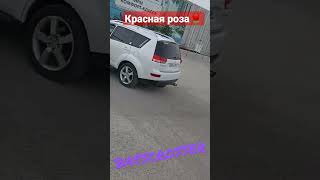 Поздравление с 9 мая от basscrosser и красной розы🌹. Самара.