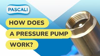 How Does a Pressure Pump Work | Pascali Pumps