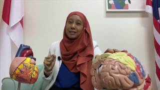 Saya & Neurosains: Bila Ada Yang Bertanya:)