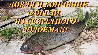 Ловля и копчение форели из секретного водоёма!!!