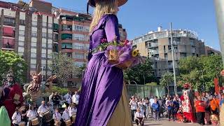 Els Gegants de Parets del Vallès Ballen a les Festes de Santa Eulàlia d'Hospitalet 2024