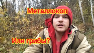 ищем металл, находим грибы, или просто жизнь