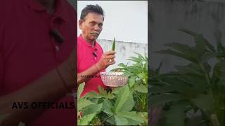 small vegetable farm  #youtubeshorts #shorts #funny #short #shortvideo #funny #comedysong #food