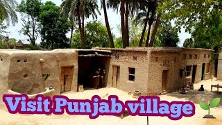 Visit to Punjab village Pakistan | village field