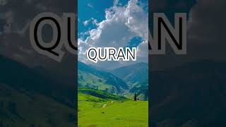 Surah Maryam Ayat No 65-68 urdu translation #shorts#reels #islamic#ytshorts