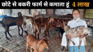 यह किसान बकरी पालन से 4 लाख कमाते है 🐐 deshi goat farm #goatfarmingindia